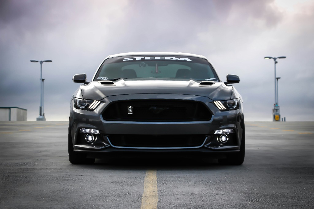 Mustang